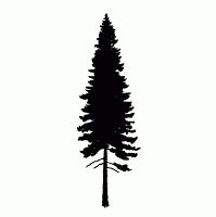 Pine Tree svg #17, Download drawings