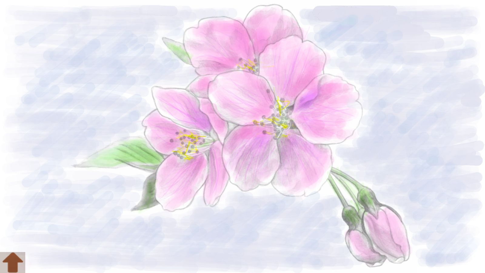 Pink Flower coloring #11, Download drawings