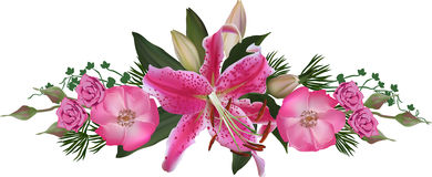 Pink Lily clipart #9, Download drawings