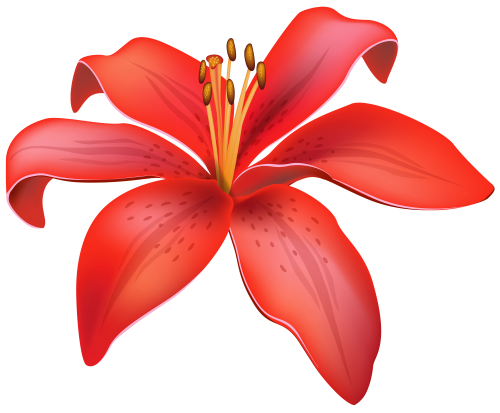 Pink Lily clipart #15, Download drawings
