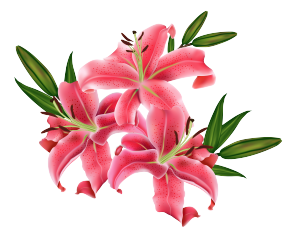 Pink Lily clipart #5, Download drawings