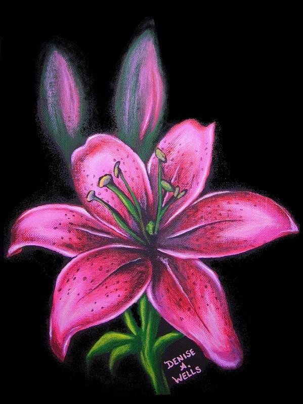 Pink Lily coloring #15, Download drawings