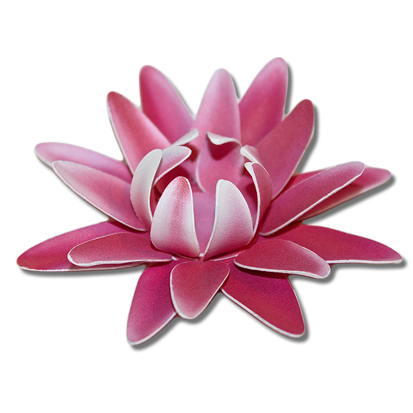 Pink Lily svg #15, Download drawings