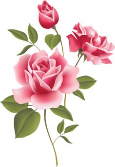 Pink Rose clipart #9, Download drawings