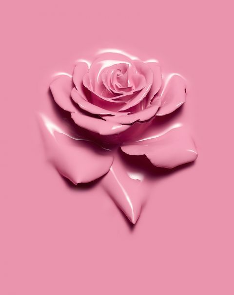 Pink Rose coloring #12, Download drawings