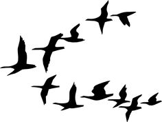 Pink-footed Goose svg #12, Download drawings