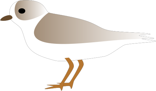 Piping Plover svg #20, Download drawings
