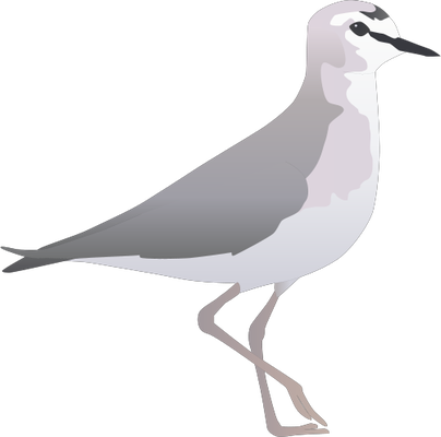 Plover svg #14, Download drawings
