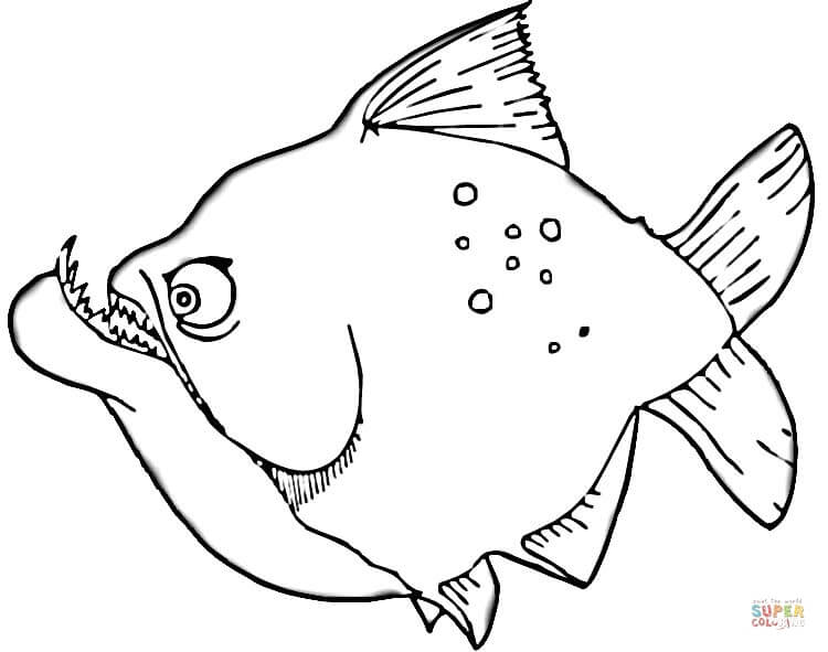 Piranha coloring #20, Download drawings