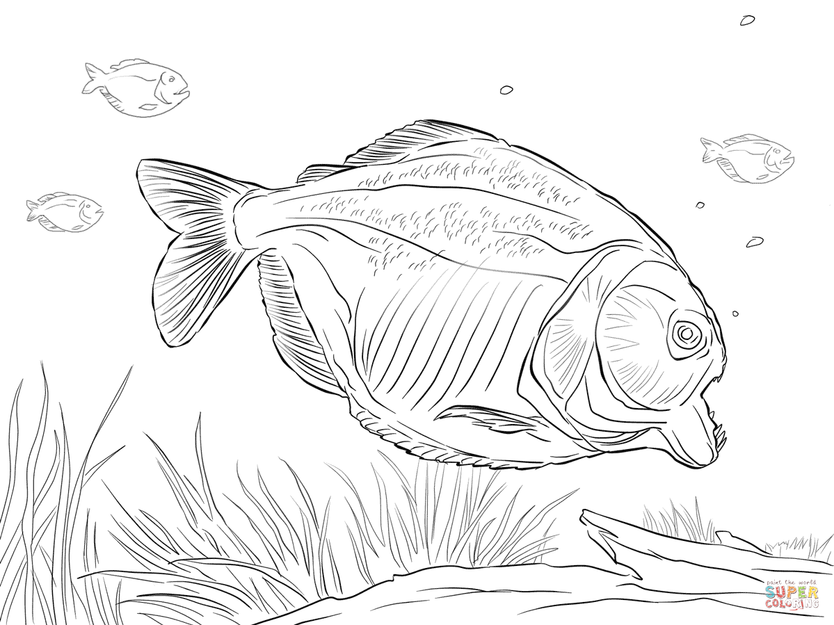 Piranha coloring #8, Download drawings