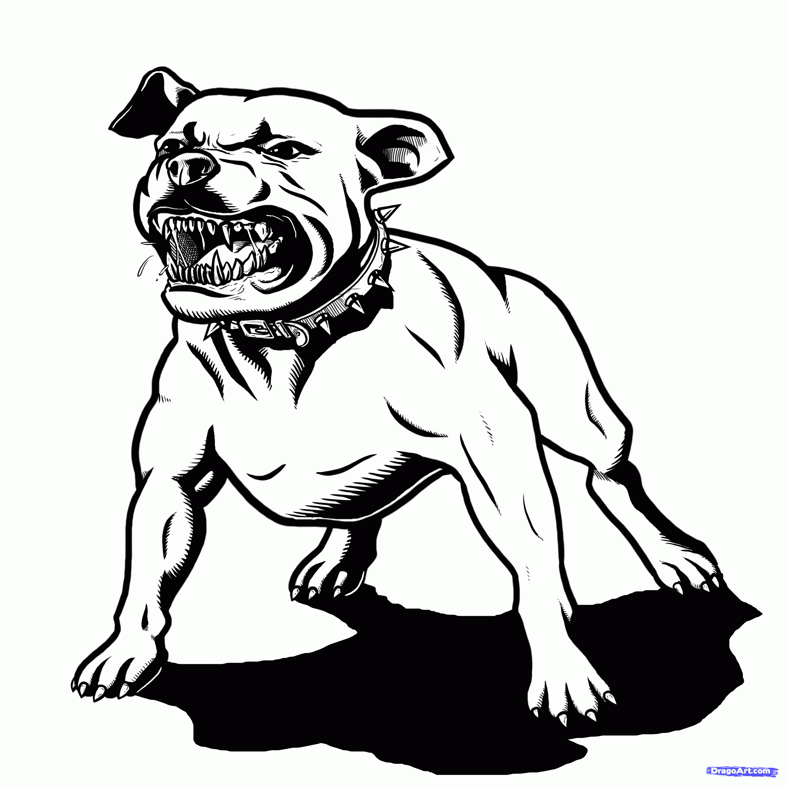 Pit Bull clipart #2, Download drawings