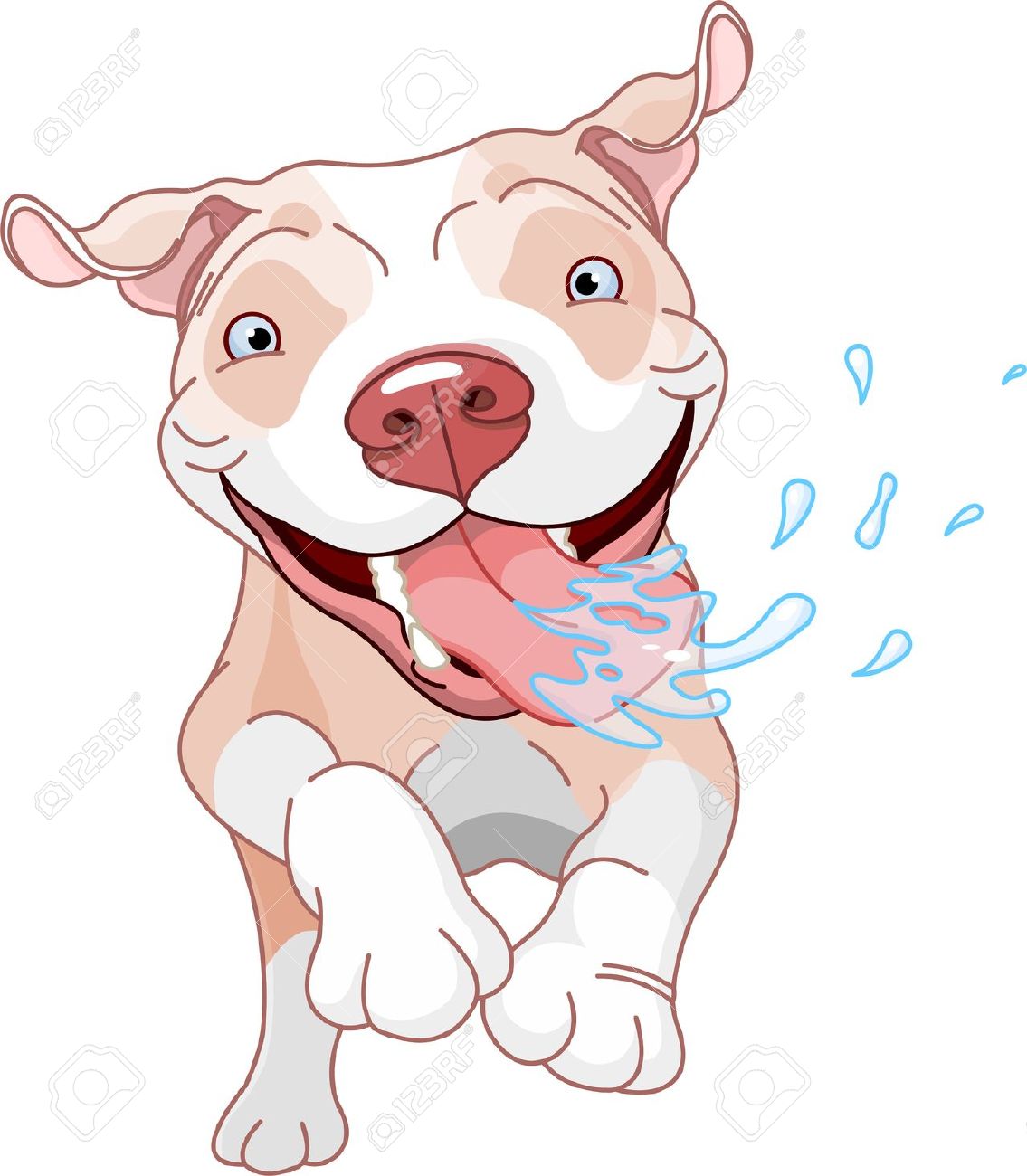 Pitbull Puppy clipart #2, Download drawings