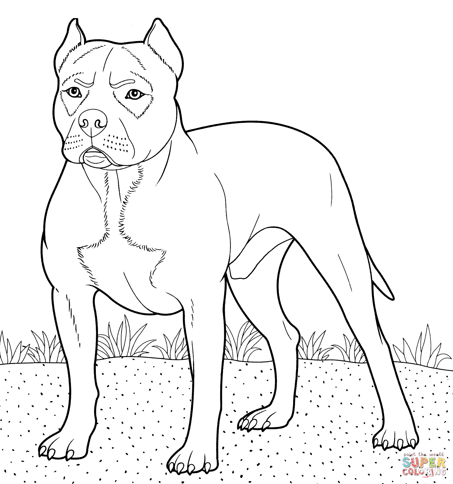 Pitbull coloring #10, Download drawings