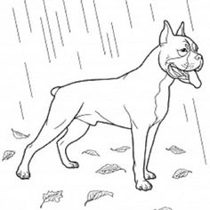 Pitbull Puppy coloring #5, Download drawings