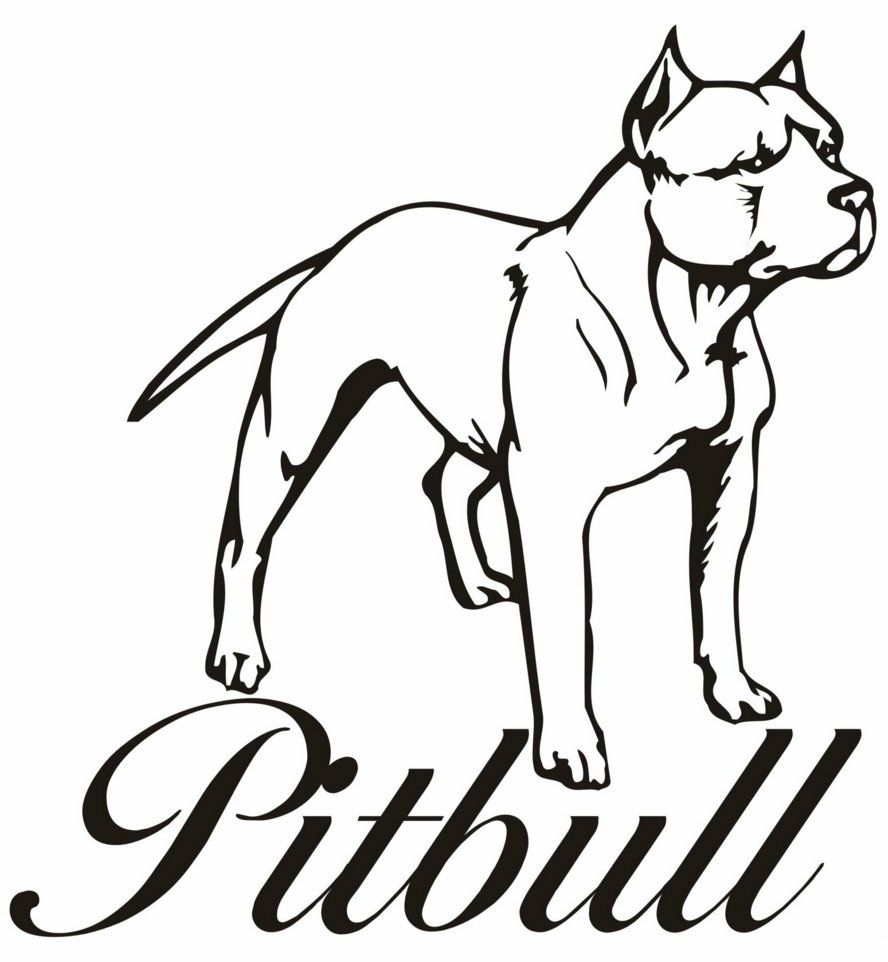 Pitbull Puppy coloring #17, Download drawings