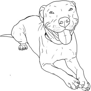 Pitbull Puppy coloring #4, Download drawings