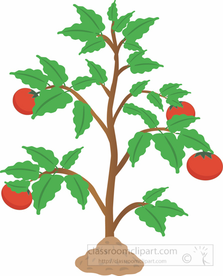 Plant clipart #17, Download drawings
