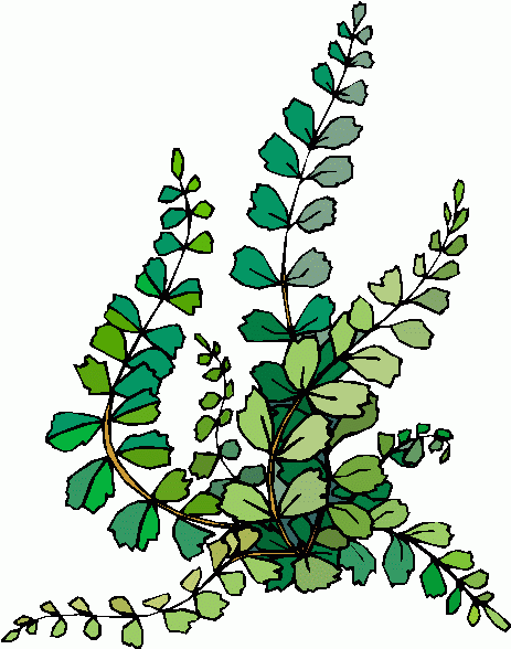 Plant clipart #3, Download drawings