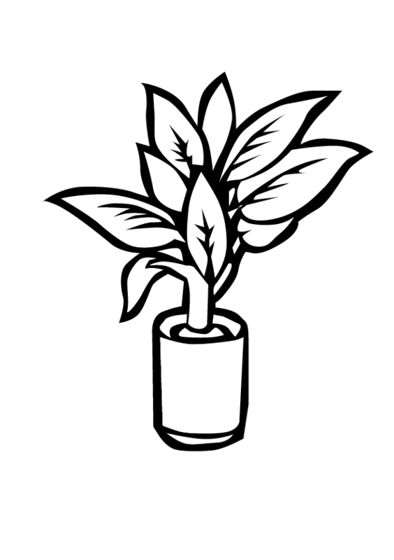 Plant coloring #12, Download drawings