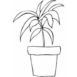 Pot Plant coloring #14, Download drawings