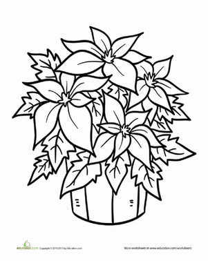 Plant coloring #19, Download drawings