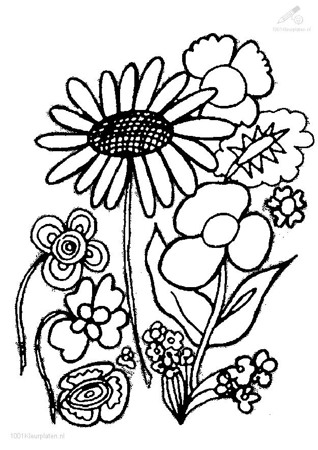 Plant coloring #6, Download drawings