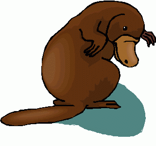 Platypus clipart #9, Download drawings