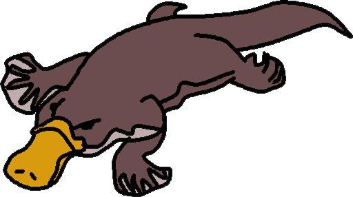 Platypus clipart #19, Download drawings