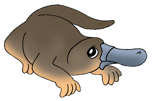 Platypus clipart #13, Download drawings