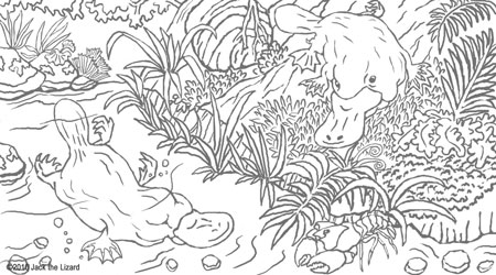 Platypus coloring #14, Download drawings