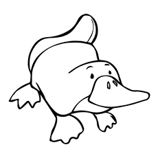 Platypus coloring #11, Download drawings
