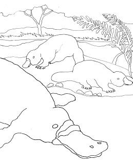 Platypus coloring #16, Download drawings