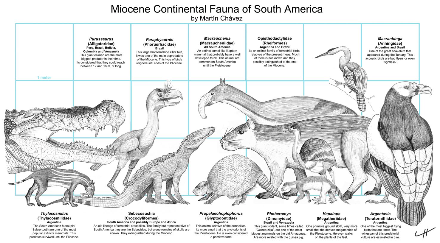 Pliocene coloring #9, Download drawings