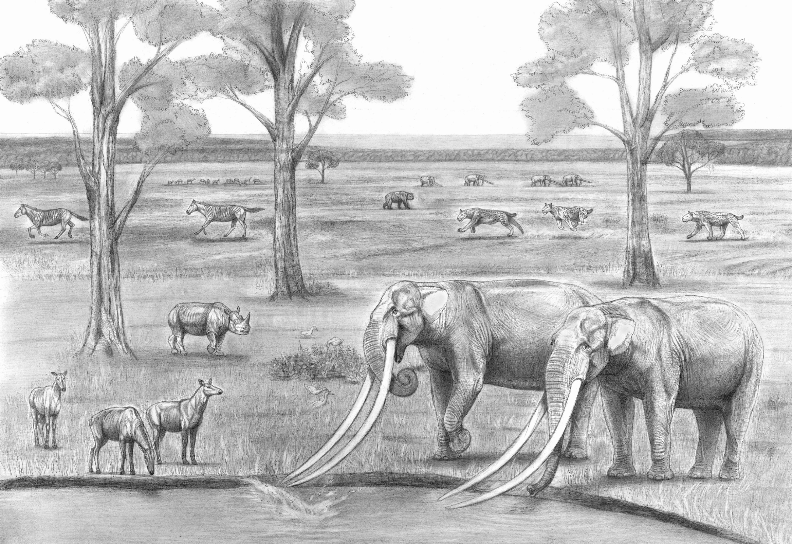 Pliocene coloring #18, Download drawings
