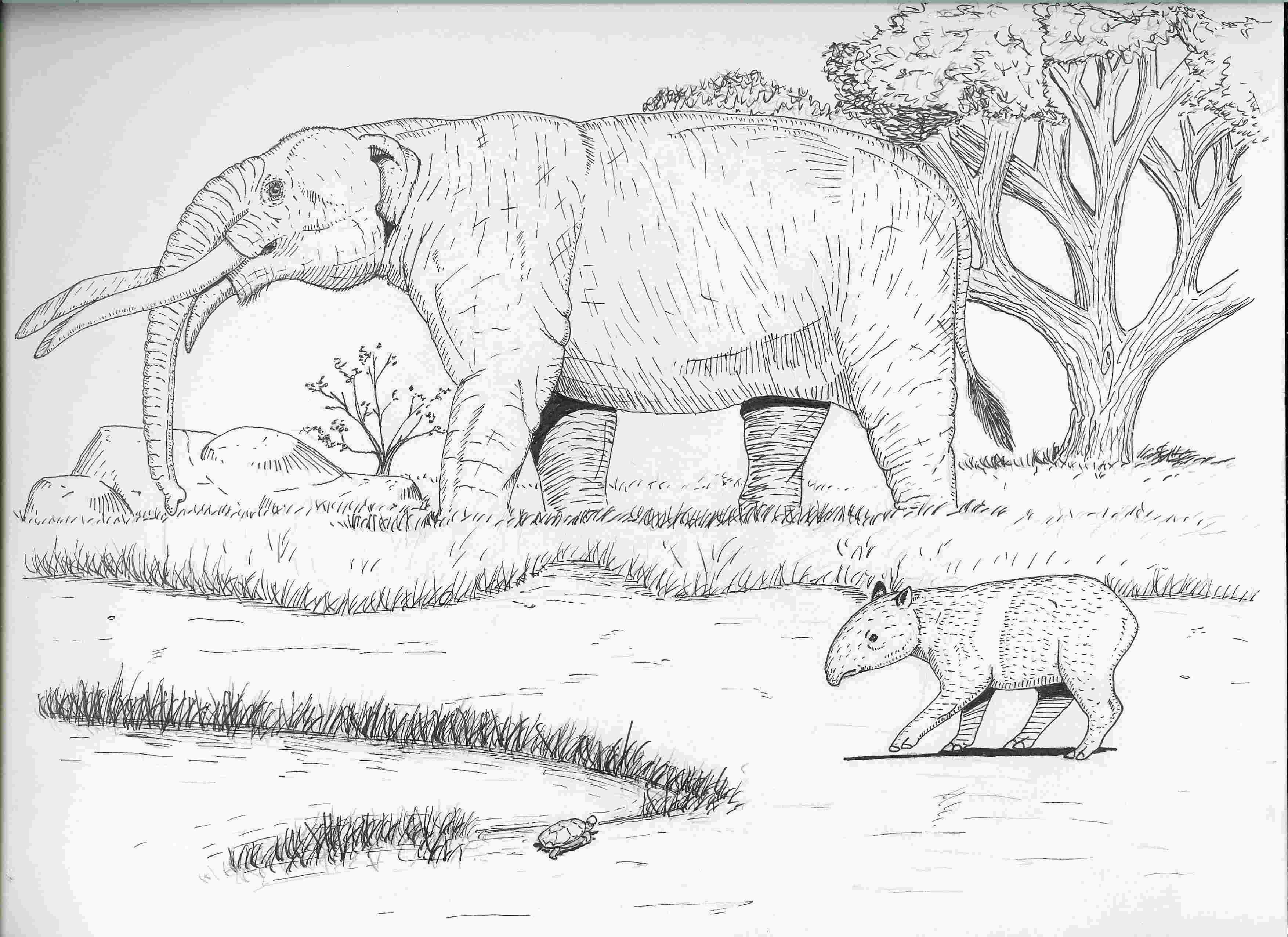 Pliocene coloring #14, Download drawings