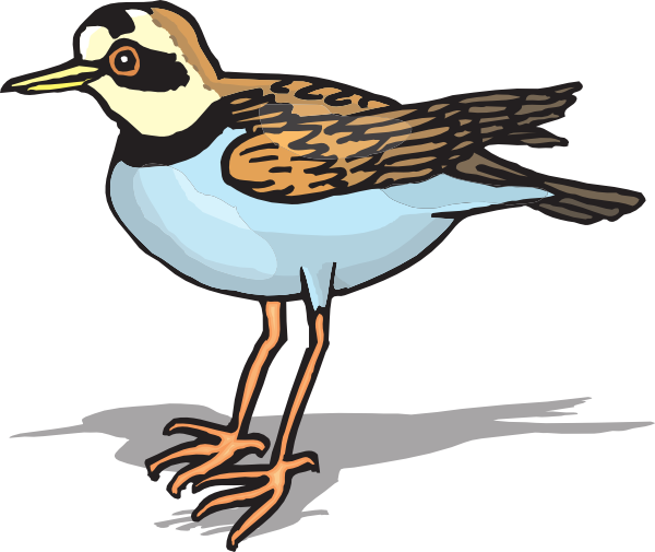 Plover svg #20, Download drawings