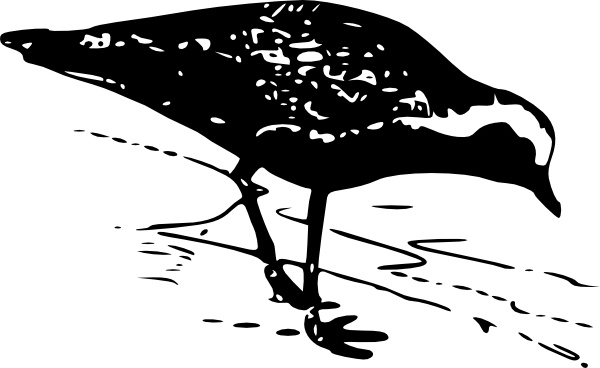 Plover svg #18, Download drawings