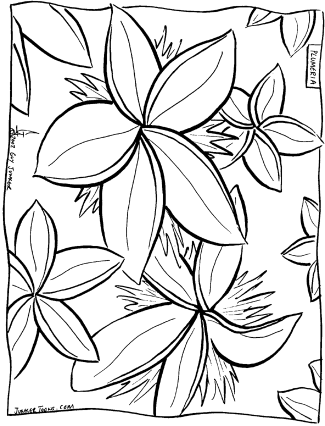 Plumeria coloring #15, Download drawings