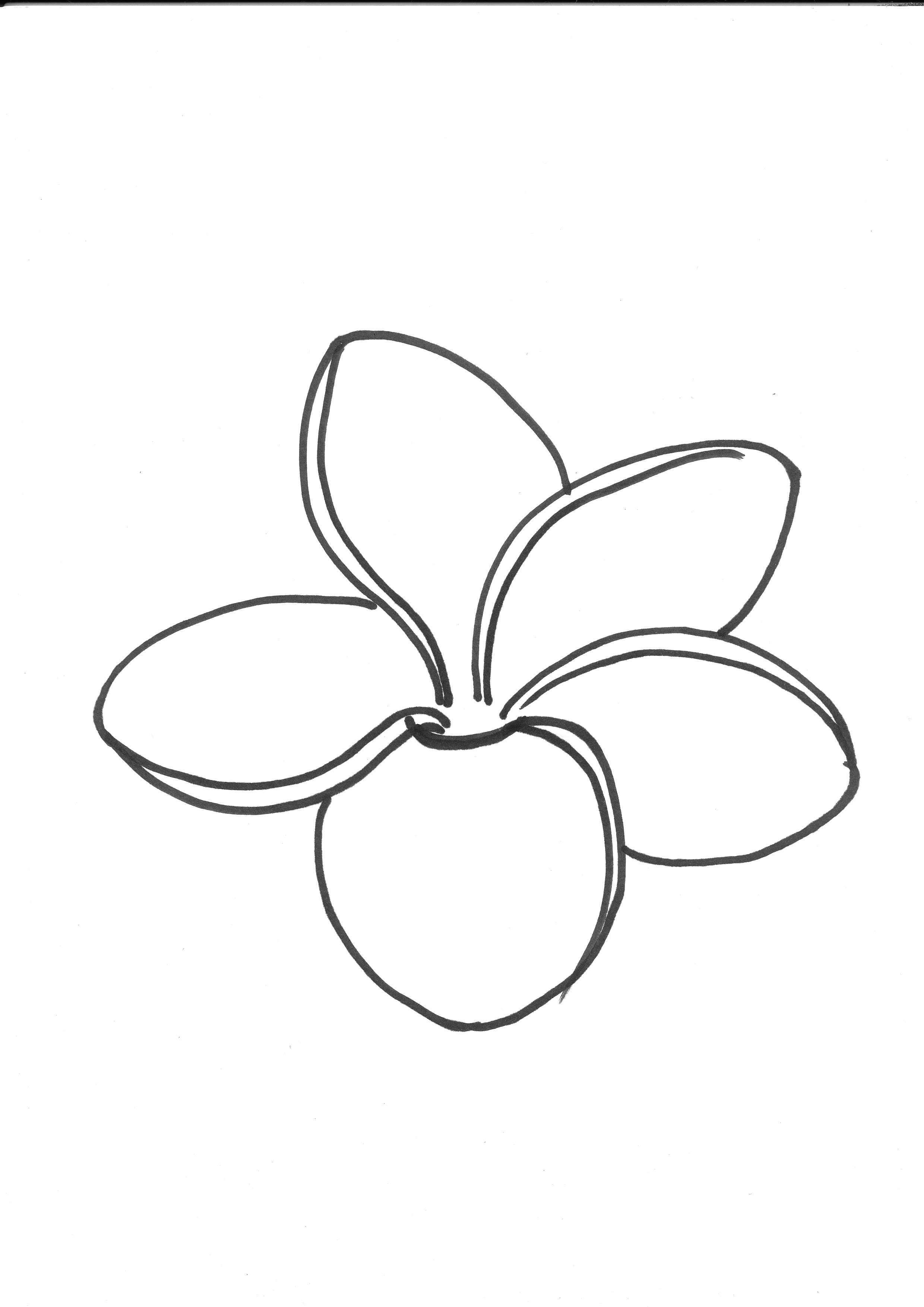 Plumeria coloring #4, Download drawings