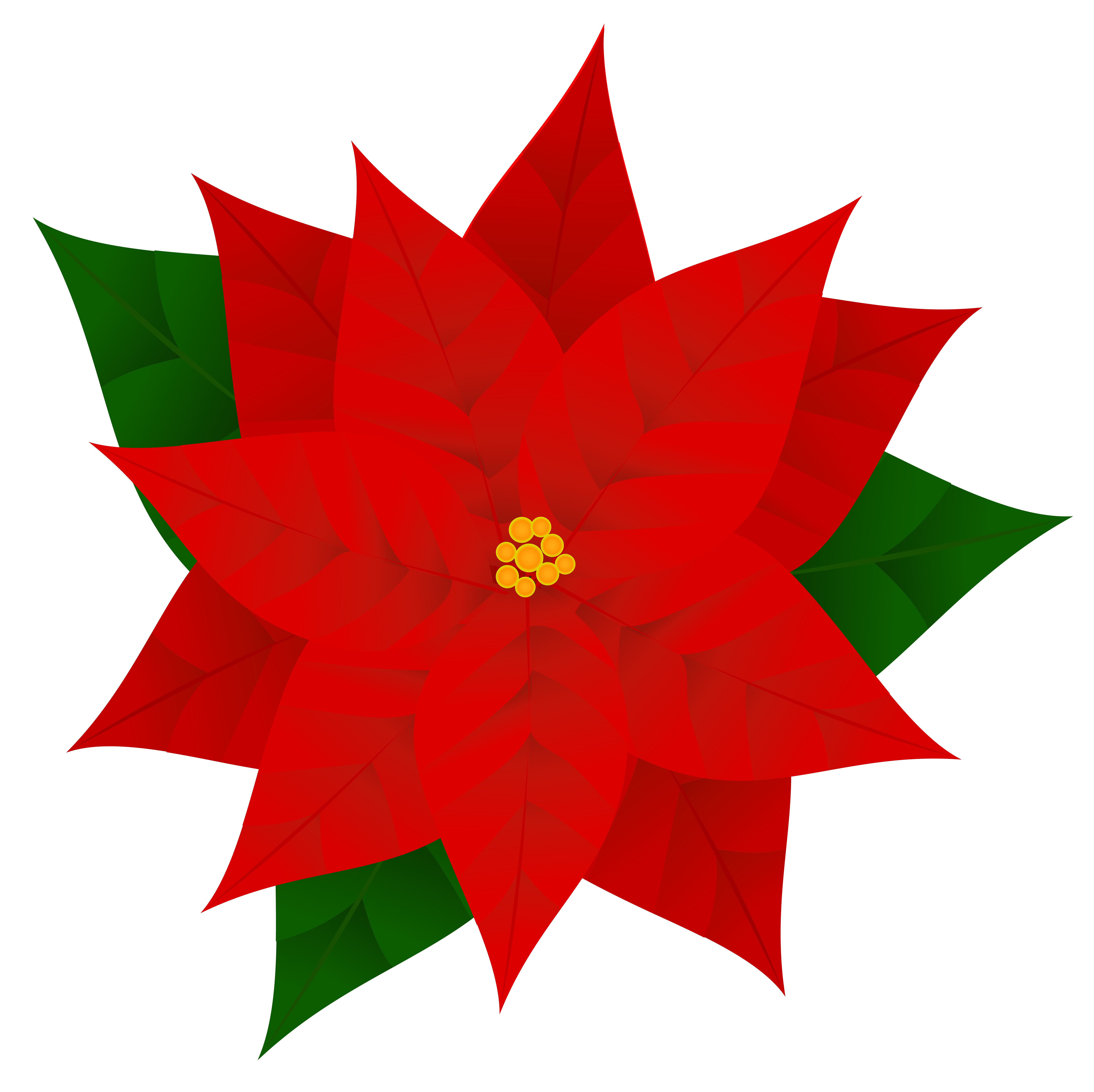 Poinsettia clipart #2, Download drawings