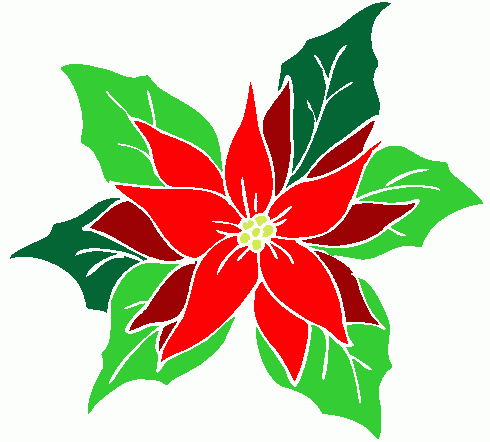 Poinsettia clipart #17, Download drawings