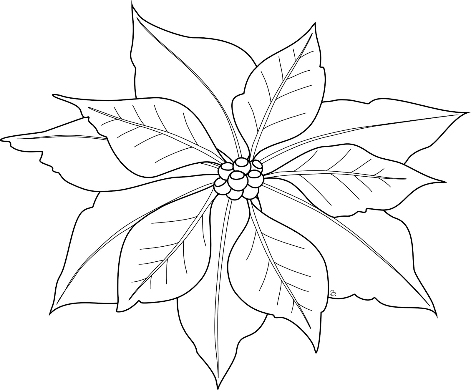 Poinsettia coloring #18, Download drawings