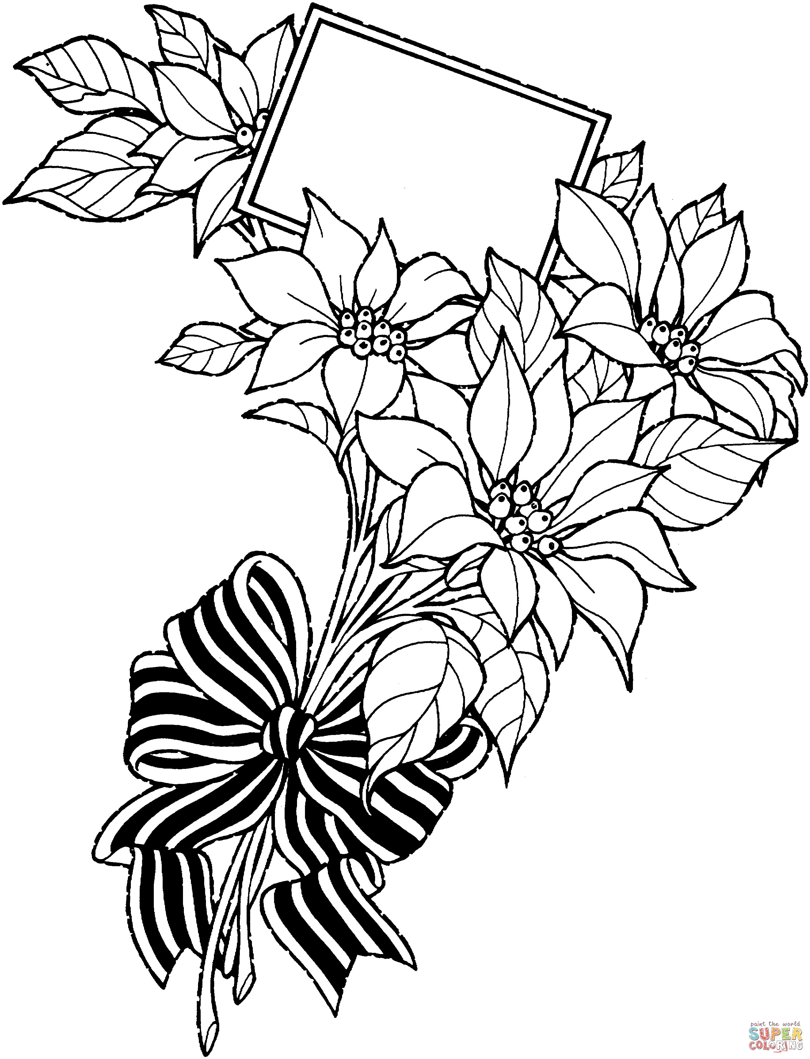 Poinsettia coloring #1, Download drawings