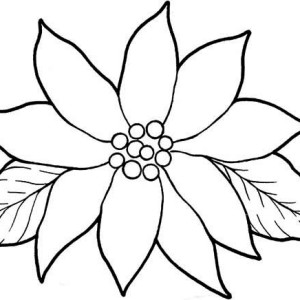 Poinsettia coloring #8, Download drawings