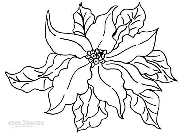 Poinsettia coloring #7, Download drawings