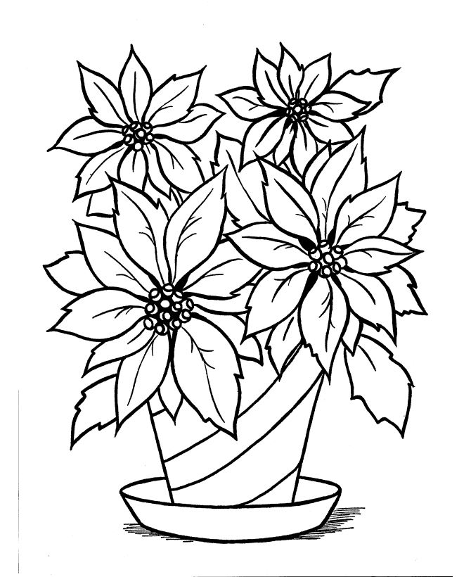 Poinsettia coloring #11, Download drawings