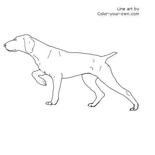 Pointer coloring #5, Download drawings