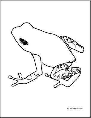 Poison Dart Frog coloring #4, Download drawings