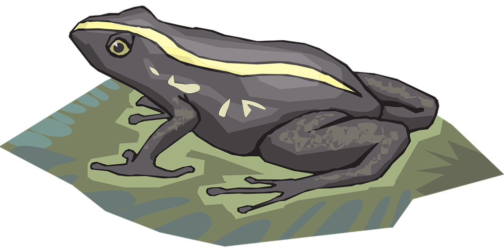 Poison Dart Frog svg #6, Download drawings