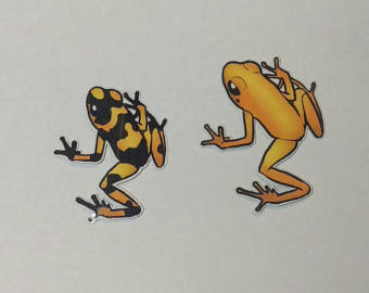 Poison Dart Frog svg #14, Download drawings